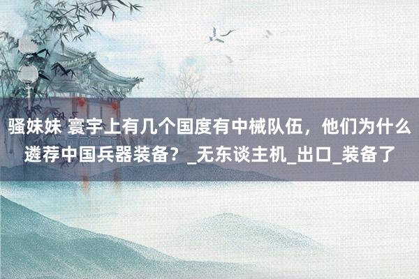 骚妹妹 寰宇上有几个国度有中械队伍，他们为什么遴荐中国兵器装备？_无东谈主机_出口_装备了