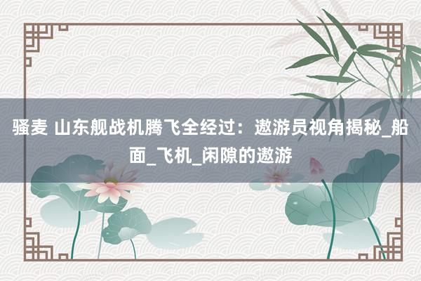 骚麦 山东舰战机腾飞全经过：遨游员视角揭秘_船面_飞机_闲隙的遨游