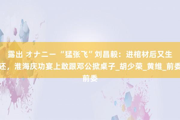 露出 オナニー “猛张飞”刘昌毅：进棺材后又生还，淮海庆功宴上敢跟邓公掀桌子_胡少荣_黄维_前委