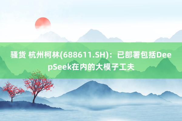 骚货 杭州柯林(688611.SH)：已部署包括DeepSeek在内的大模子工夫