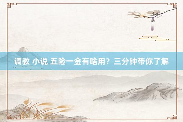 调教 小说 五险一金有啥用？三分钟带你了解