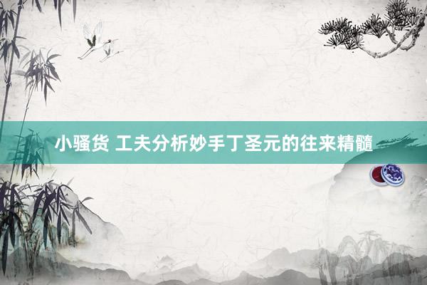 小骚货 工夫分析妙手丁圣元的往来精髓