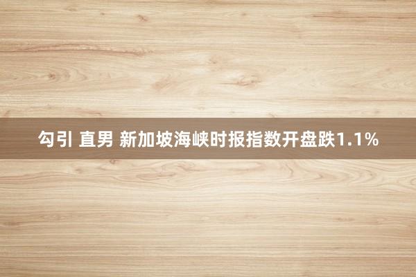 勾引 直男 新加坡海峡时报指数开盘跌1.1%