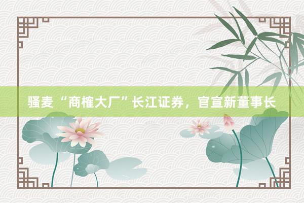 骚麦 “商榷大厂”长江证券，官宣新董事长