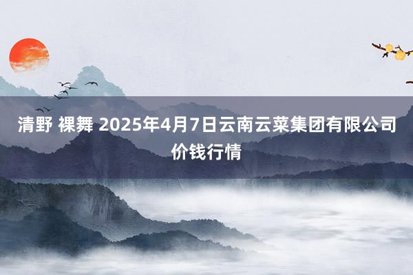 清野 裸舞 2025年4月7日云南云菜集团有限公司价钱行情