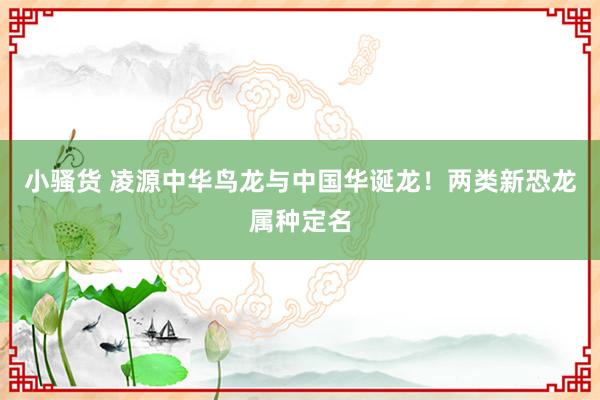 小骚货 凌源中华鸟龙与中国华诞龙！两类新恐龙属种定名