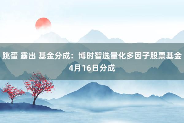 跳蛋 露出 基金分成：博时智选量化多因子股票基金4月16日分成