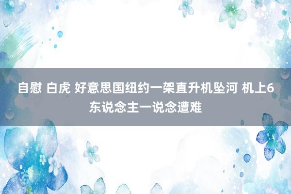 自慰 白虎 好意思国纽约一架直升机坠河 机上6东说念主一说念遭难