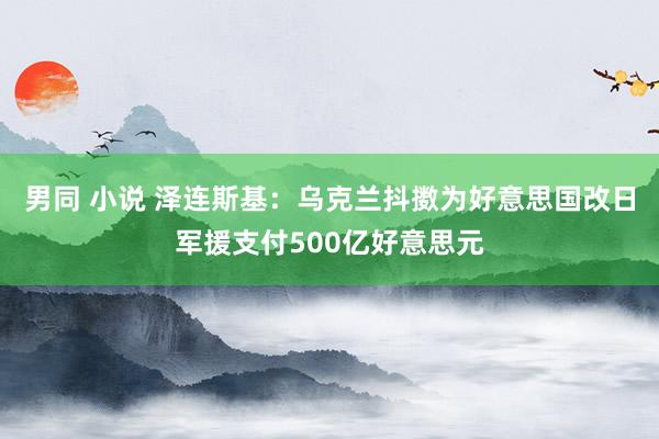 男同 小说 泽连斯基：乌克兰抖擞为好意思国改日军援支付500亿好意思元