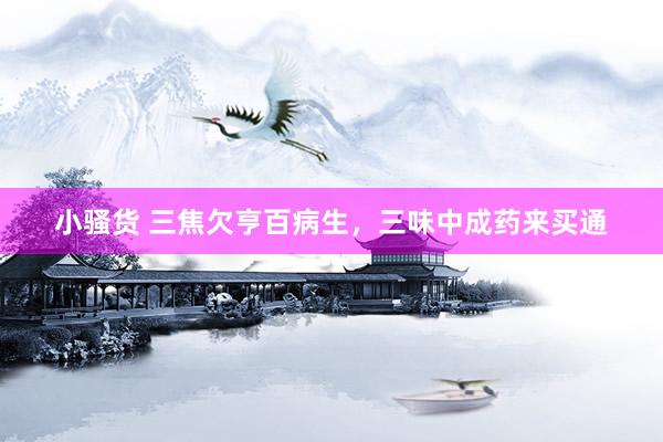 小骚货 三焦欠亨百病生，三味中成药来买通