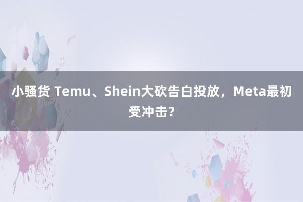 小骚货 Temu、Shein大砍告白投放，Meta最初受冲击？
