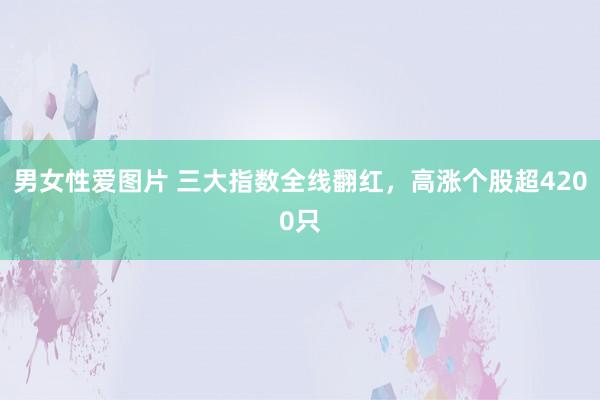 男女性爱图片 三大指数全线翻红，高涨个股超4200只