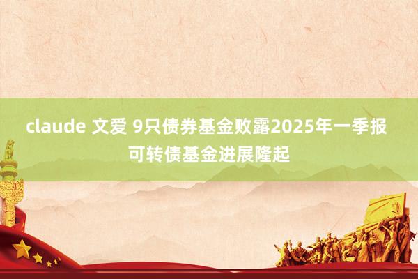 claude 文爱 9只债券基金败露2025年一季报 可转债基金进展隆起