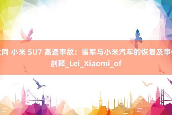女同 小米 SU7 高速事故：雷军与小米汽车的恢复及事件剖释_Lei_Xiaomi_of
