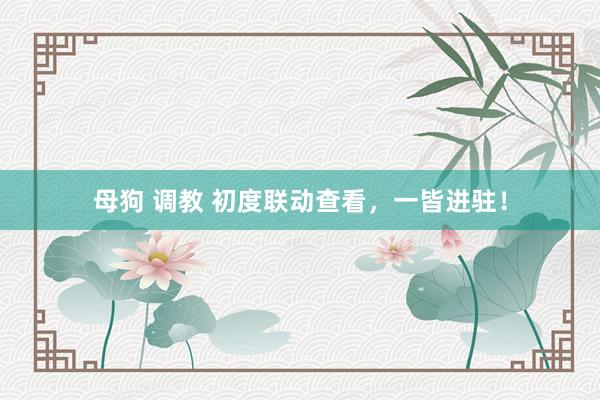母狗 调教 初度联动查看，一皆进驻！