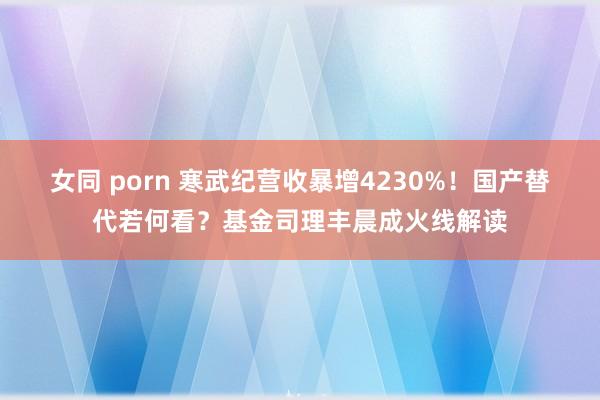女同 porn 寒武纪营收暴增4230%！国产替代若何看？基金司理丰晨成火线解读