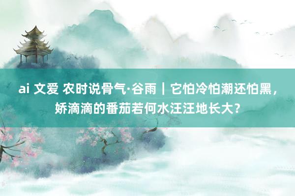 ai 文爱 农时说骨气·谷雨｜它怕冷怕潮还怕黑，娇滴滴的番茄若何水汪汪地长大？