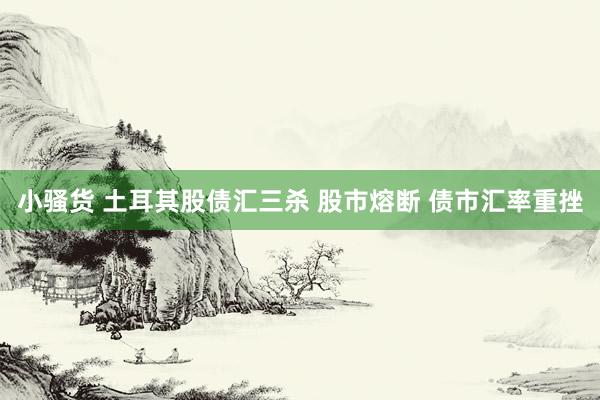 小骚货 土耳其股债汇三杀 股市熔断 债市汇率重挫