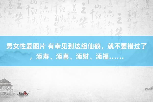 男女性爱图片 有幸见到这组仙鹤，就不要错过了，添寿、添喜、添财、添福……