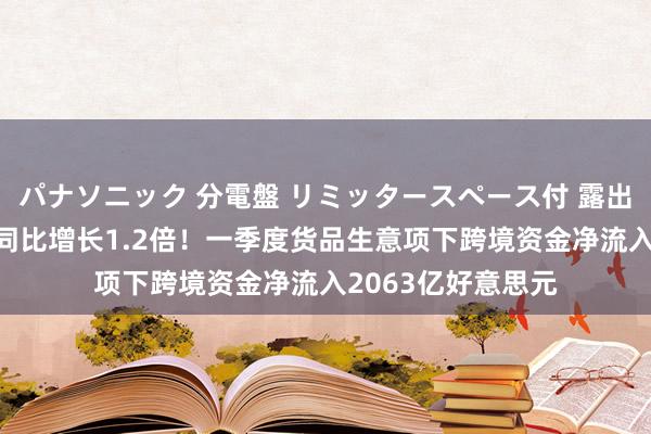 パナソニック 分電盤 リミッタースペース付 露出・半埋込両用形 同比增长1.2倍！一季度货品生意项下跨境资金净流入2063亿好意思元