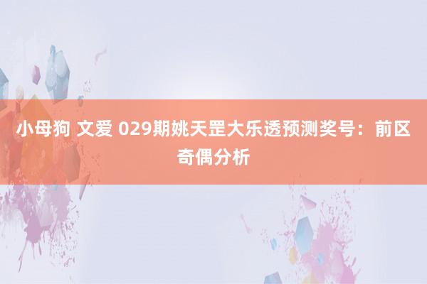 小母狗 文爱 029期姚天罡大乐透预测奖号：前区奇偶分析